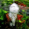 Ailindany Aquarium Air Oxygen Bubbler Glass Cup with Water Tube, Sucker Air Stone, High Dissolved Oxygen for Fish Tank