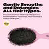 Trademark Beauty Smooth Brush - Hair Brush, Dry or Wet Brush, Synthetic, Dual-Length Bristle Brush, Detangles, Prevents Hair Breakage