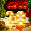 30th Birthday Decorations Numbers Light up Letters Plastic LED Light Up Letters Figure Fairy Birthday Party Supplies Battery Operated Numbers for 30th Happy Birthday Anniversary Event