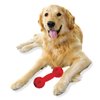 Nerf Dog 7in Bash Squeak Barbell - Red, Dog Toy