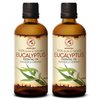 Eucalyptus Essential Oil 6.8 Fl Oz - Eucalyptus Globulus - 100% Pure & Natural - Eucalyptus Essential Oils 200 ml - Good for Aromatherapy - Sauna - Beauty - Aroma Diffuser