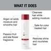 GREAT CLIPS Solutions Nourishing Shampoo 10oz | Argan Oil | Sulfate and Paraben Free | Moisturizes and Restores Shine | Safe for Color-treated Hair