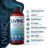 Living Silica Collagen Booster Liquid | Vegan Collagen Boosting Drink | Supports Healthy Collagen and Elastin Production for Joint & Bone Support, Glowing Skin, Strong Hair & Nails. 16.9 oz