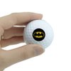 GRAPHICS & MORE Batman Classic Bat Shield Logo Novelty Golf Balls 3 Pack