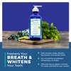 Dale Audrey Natural Oil Pulling for Teeth and Gums | Organic Mint Flavoured Oral Rinse Mouthwash for Bad Breath | Natural Essential Oils for Freshen Breath | Cobalt Glass Bottle wiith Refill | (16oz)