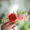 Fangsen Boho Rose Rose Flower Yellow Chamomile Little Sunflower Eucalyptus Leaves Lover Grass Hair Comb Bridal Headpiece Floral Hair Accessories for Brides and Bridesmaids Silver (Coral Red)