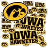 Desert Cactus University of Iowa Sticker Hawkeyes Stickers Vinyl Decals Laptop Water Bottle Car Scrapbook11.46x8.94 T1 (Type 1-1)