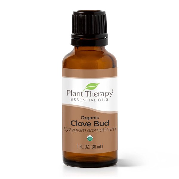 Plant Therapy Organic Clove Bud Essential Oil 100% Pure, USDA Certified Organic, Undiluted, Natural Aromatherapy, Therapeutic Grade 30 mL (1 oz)