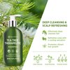 Roycederm Tea Tree Antifungal Shampoo: Antifungal Formula for Scalp Health, Deep Cleansing, Oily Hair, and Itchy Scalp Relief - Natural Botanicals, Paraben & Sulfate Free