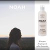 Noah Hair - 1.3 Strengthening Lavender Shampoo with Rosemary Oil - Natural Daily, Organic, Strengthening, Sulphate and Cruelty Free, Eco Friendly, Vegan Shampoo with Essential Oils - 8.5 fl.oz
