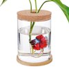 Betta Fish Tank - Mini Bowls for Beta Fish, Aquaponic Fish Tank Clear Hydroponic Plant Terrarium for Promoted Ecosphere Aquatic Ecosystem - 6.7" H * 4.7" D