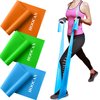 Resistance Bands Set, Long Exercise Bands for Arms, Shoulders, Legs and Butt, Workout Stretch Bands for Physical Therapy, Gym, Yoga