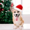 4 Pieces Dog Santa Hat Christmas Pet Hats Pet Costumes for Dogs Cats Christmas Supplies