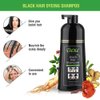 AUSTINE DEXE Black Hair Dye Shampoo for Gray Hair Coverage,Hair Color Shampoo for Men/Women,3 in 1-100% Grey Cover,Permanent Hair Shampoo,Herbal Ingredients and Ammonia Free,400ML(14 Fl oz)