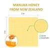 Polynew Manuka Honey Gauze Dressing, 2"x2"-12 Individual Package, Manuka Honey Wound Care Gauze for Ulcers, Bedsore, Burns, Abrasions and Cuts for Wound Healing Dressing