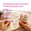 HOMEDSUN 20 Packs LH Ovulation Test Strips Easy to Use Ovulation Tracker Kit Accurate Fertility Tracking for Women Quick Results at Home Use