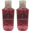 Bath and Body Works Body Care - Full Size Shower Gel Aloe + Vitamin E - 10 fl oz - Twisted Peppermint