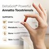 Premium Annatto Tocotrienol Supplement – Vitamin E Tocotrienols with DeltaGold – Tocotrienols Vitamin E 300 mg – Supports Liver, Immune & Heart Health - Delta + Gamma Tocotrienols (30 Liquid Capsules)