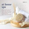 MainBasics Dry Brush | Dry Brushing Body Brush for Lymphatic Drainage, Dry Skin, Cellulite, Blood Circulation with Massage Nodes Exfoliating Body Scrubber for Flawless Skin