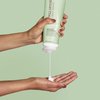 Paul Mitchell Clean Beauty Anti-Frizz Conditioner, Ultra-Rich Formula, Improves Elasticity, For Textured, Frizz-Prone Hair, 8.5 fl. oz.