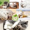 Gochanmon Catnip Toys-2Pcs Natural Silvervine Stick Catnip Ball&Bell Ball-Cat Toys for Indoor Cats- Cleaning Teeth Molar Tools Matatabi Cat Chew Toy-Kitten Toys…