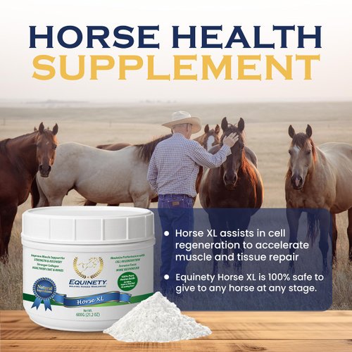 100 Day Supply Horse XL Horse Supplements – W/ 8 Essential Amino Acids to Promote Cellular Repair - No Soy, Sugar & Fillers Coat Defense for Horses - Horse Joint Supplement & Horse Hoof Supplements