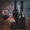 Wineos Wine Aerator Pourer Spout - Includes Wine Decanter With Aerator And Stand For Easy Storing, Wine Guide Booklet.