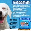 Well Loved Dog Allergy Chews - Dog Allergy Relief, Made in USA, Vet Developed, Hot Spot Treatment for Dogs, Dog Itch Relief, Anti Itch for Dogs, Dog Vitamins, Dog Skin Allergies Treatment, 120 Count