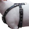 Black Genuine Leather Dog Harness, Medium. 25.5"-29" Chest, 1" Wide Adjustable Straps