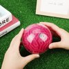 Maze Ball 3D Maze Puzzle Brain Teasers Games Gravity Plastic Handheld 3D Maze Ball 4 Inches Puzzle Toy Maze Puzzle Cube Ball Sphere Educational Toys for Students Teens Adults (Red)