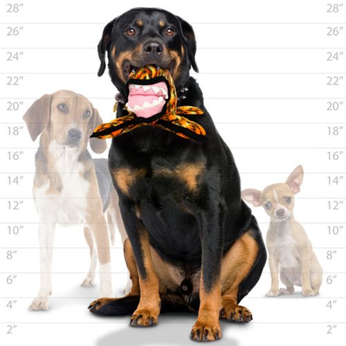 TUFFY - World's Tuffest Soft Dog Toy - Alien Fire - Multiple Layers. Made Durable, Strong & Tough. Interactive Play (Tug, Toss & Fetch). Machine Washable & Floats