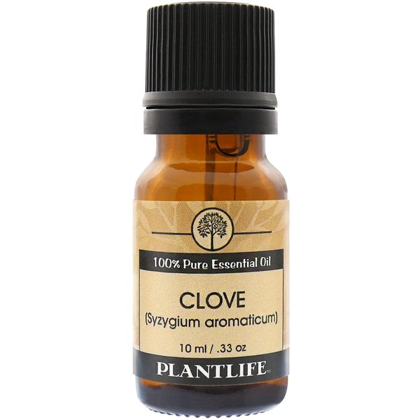 Plantlife Clove Aromatherapy Essential Oil - Straight from The Plant 100% Pure Therapeutic Grade - No Additives or Filters - 10 ml