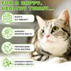 Probiotic for Cats, Natural 3 in 1 Cat Probiotic Drops Helps to Relieve Diarrhea, 60ml for Cats of All Ages, Supports Gut Health, with Digestive Enzymes & Prebiotics Liquid Supplement