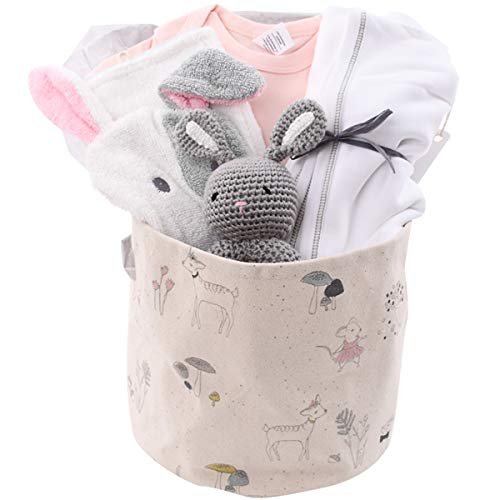 Organic Baby Gift Basket - Meadow Days -Bunny Rattle, Clothes and Swaddle Blanket (3-6 Months)