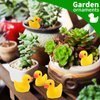 EKisemio 200 Pieces Mini Resin Ducks Yellow Tiny Duckies for School Project Accessories Miniature Characters Fairy Garden Landscape Aquarium Dollhouse Potted Plants Decorations