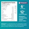 purmeo 5 in 1 High Potency H. Pylori Treatment Probiotics - 1 Per Day - Gastritis, Acid Reflux, Heartburn, Stomach Lining Repair - Pylopass Lactobacillus Reuteri DSM17648 - Made in Germany