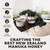 Steens Manuka Honey - MGO 515+ - Pure & Raw 100% Certified UMF 15+ Manuka Honey - Bottled and Sealed in New Zealand - 7.9 oz Jar