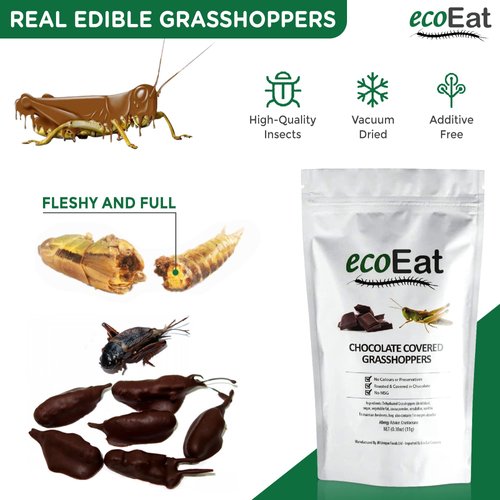 Edible Bugs Dark Chocolate Covered Grasshoppers by ecoEat – 11g Pack - Edible Insects Candy Grasshoppers - Snack Food Gifts