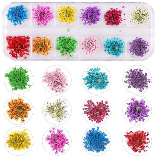 2 Boxes Dried Flowers for Nail Art, KISSBUTY 24 Colors Dry Flowers Mini Real Natural Flowers Nail Art Supplies 3D Applique Nail Decoration Sticker for Tips Manicure Decor (Flowers and Gypsophila)