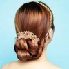 Sankuwen Women Rhinestone Inlaid Butterfly Hair Comb Hairpin Barrette Accessory (Style-B,Champagne)