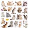 20 Pcs Cat Thick Gel Clings Kitten Window Gel Clings Decals Stickers for Kids Toddlers and Adults Cute Reusable Window Clings for Home Airplane Classroom Nursery Cat Party Supplies Decorations