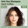 TYAYW Dark Coffee Hair Dye Shampoo 3 in 1, 16.9 Fl Oz - Long-lasting & Natural Color , for Men Women, Para Canas, Easy to Use at Home