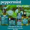 Difeel Peppermint Scalp Care Hair Oil 7.1 Ounces