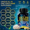 LetaGreen Organic Lions Mane Supplement Capsules - 120 Real Mushrooms Lion's Mane Capsules with Ginkgo Biloba Herb, Bacopa Monnieri, L Theanine, L Tyrosine - Mushroom Complex for Daily Wellness
