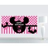 Minnie Mouse 3rd Birthday Backdrop, Minnie Mouse 3rd Birthday Banner Party Supplies, Minnie Mouse 3rd Birthday Decorations, Third Birthday Photography Background (6.6 x 3.3 ft)