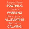 Plant Therapy KidSafe Grow Ease Essential Oil Blend Pre-Diluted Roll-On 10mL (1/3 oz) 100% Pure, Therapeutic Grade