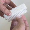 SPARTA 3623900 Plastic Hand Brush, Nail Brush With Polypropylene Bristles For Kitchens, Homes, Restaurants, 3.5 Inches, White, (Pack of 24)