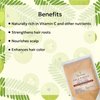 Yauvanya Pure Amla (Indian Gooseberry - super rich in Vitamin C) Powder for Hair 300 gms - 3 packs of 100 gms each | Vegan