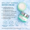 goPure Brilliant Barrier Water Cream - Hydrating Niacinamide Water Cream, Hydrating Sleeping Mask, Skin Barrier Support, Squalane and Ceramides for a Visibly Perfected and Moisturized Look - 1.7 Fl Oz