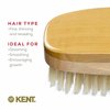 Kent MS23D Finest Men's Military Style Hair Brush - Satin and Beechwood Travel Size Base, Soft Pure White Natural Boar Bristle Ideal for Fine or Thinning Hair and Sensitive Scalps